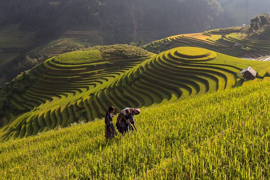 Vietnam © Anujak Jaimook/Fotolia