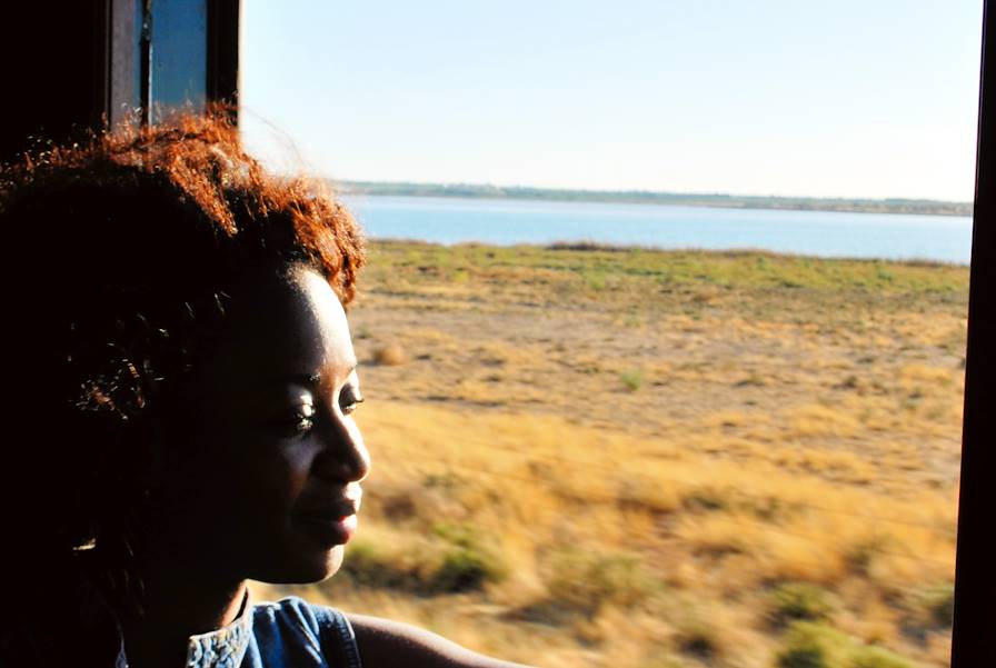 Rovos Rail - Afrique du Sud © Alexandre Visinoni