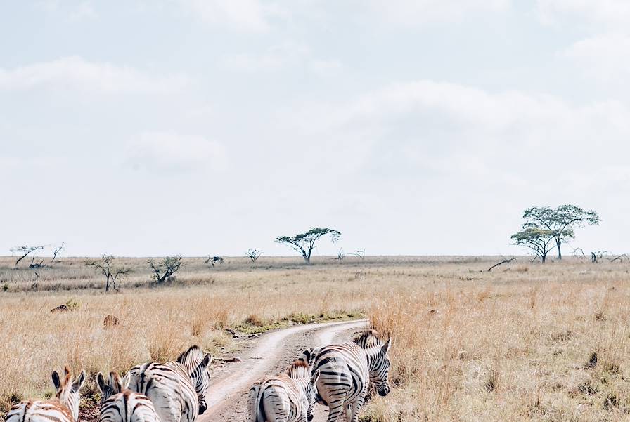 Afrique du Sud © Olivier Romano