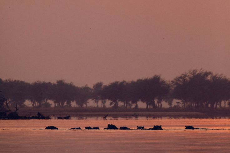 Lower Zambezi National Park - Zambie © Droits reservés