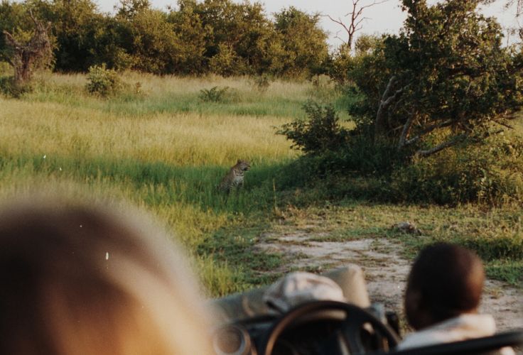 Zimbabwe © Faustine Poidevin