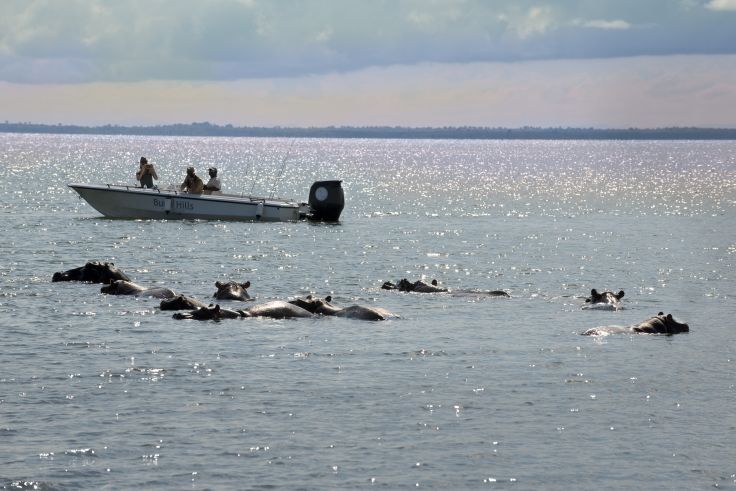 Kariba - Zimbabwe © Droits réservés