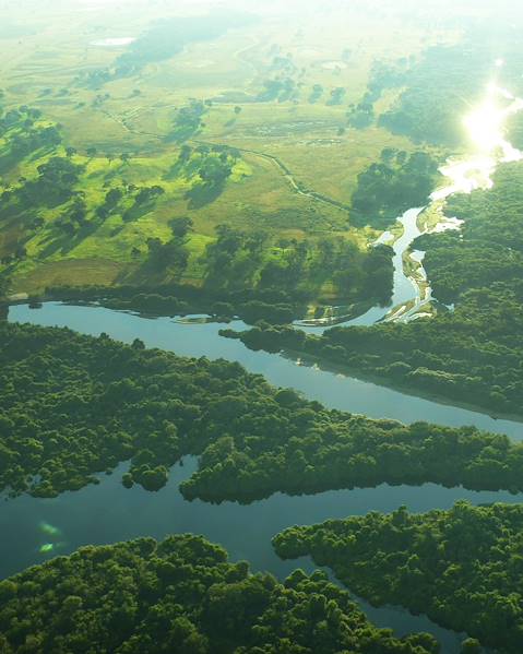 Voyages itinérants Brésil - Foz do Iguaçu - Campo Grande - Pantanal