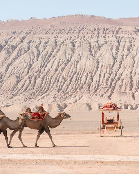 Voyages itinérants Chine - Dunhuang - Kachgar - Xi'an