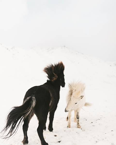 Voyages itinérants Islande - Péninsule de Snæfellsnes - Skógar - Côte Sud - Cercle d’Or - Reykjavik