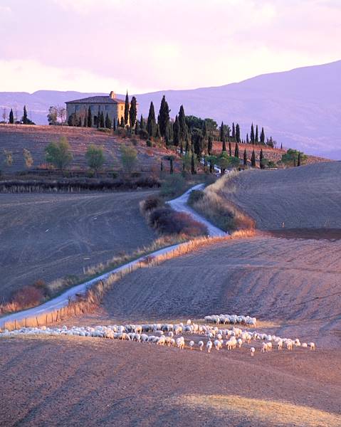 Séjours Italie - Toscane