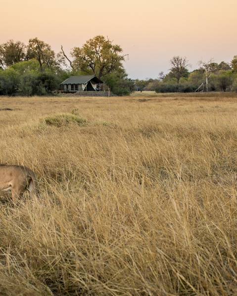 Voyages itinérants Namibie - Zimbabwe - Botswana