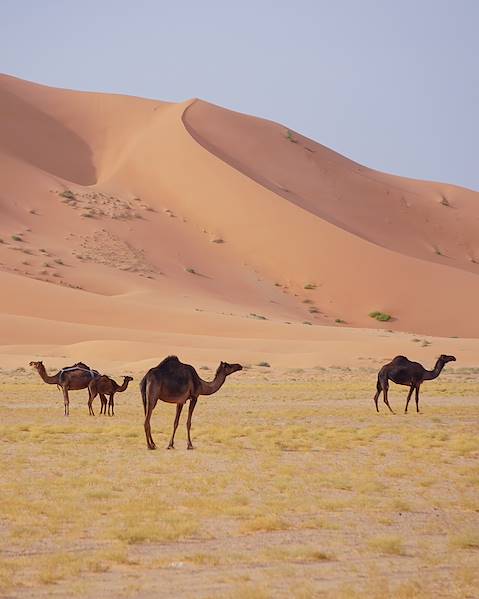 Reiseroute Oman - Maskat - Wahiba-Wüste