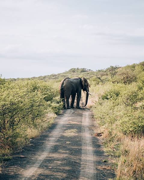 Voyages itinérants Arusha - Tarangire - Ngorongoro - Olduvai - Serengeti