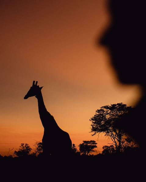 Voyages itinérants Dar es Salam - parc national Nyerere - Fanjove Island