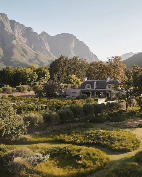 Voyages itinérants Afrique du Sud - Le Cap - Franschhoek - Route des vins - Réserve naturelle privée de Banghoek