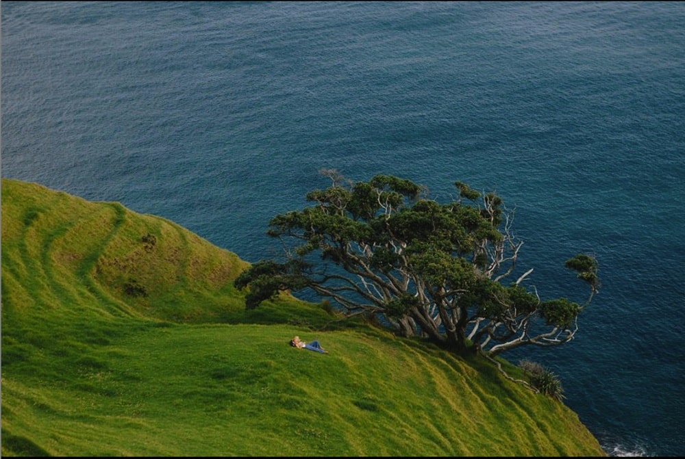 Paysage bord de mer de la Nouvelle-Zélande