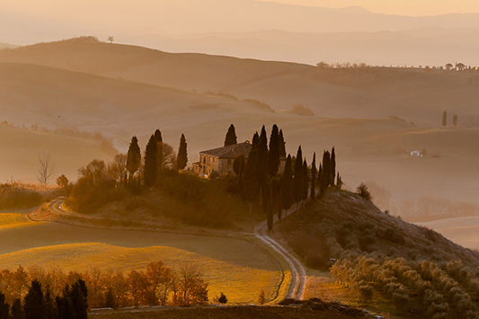 Vignoble en Italie